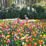 Cosy Tiny House 5 Min Walk Keukenhof Included Entrance Keukenhof Lisse