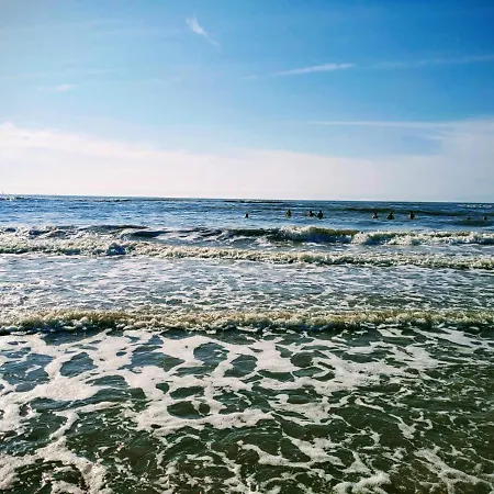 Apartment Cosy Tiny House 5 Min Walk Keukenhof Included Entrance Keukenhof *