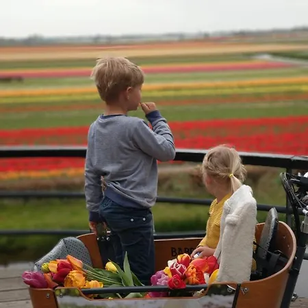 Cosy Tiny House 5 Min Walk Keukenhof Included Entrance Keukenhof *