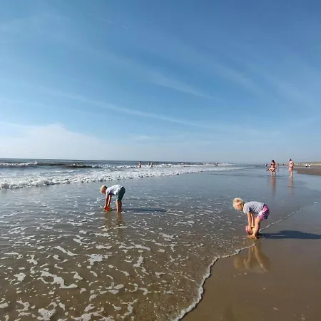 Cosy Tiny House 5 Min Walk Keukenhof Included Entrance Keukenhof Apartment