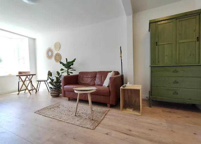 Apartment Cosy Tiny House 5 Min Walk Keukenhof Included Entrance Keukenhof