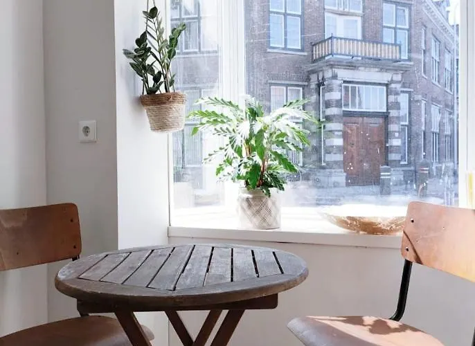 Cosy Tiny House 5 Min Walk Keukenhof Included Entrance Keukenhof * Lisse