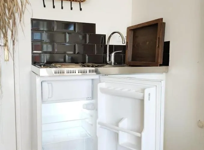 Cosy Tiny House 5 Min Walk Keukenhof Included Entrance Keukenhof Apartment Lisse