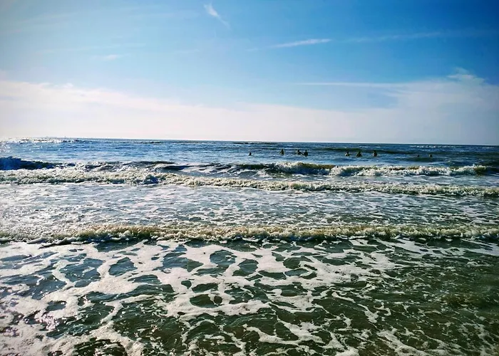 Apartamento Cosy Tiny House 5 Min Walk Keukenhof Included Entrance Keukenhof *