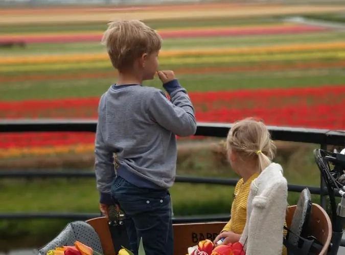 Cosy Tiny House 5 Min Walk Keukenhof Included Entrance Keukenhof *