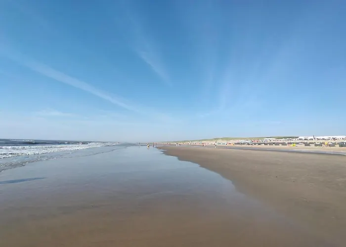 Cosy Tiny House 5 Min Walk Keukenhof Included Entrance Keukenhof * Lisse