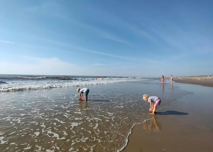 Cosy Tiny House 5 Min Walk Keukenhof Included Entrance Keukenhof Apartamento