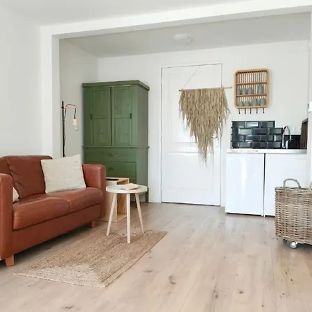 Cosy Tiny House In Bollenstreek Vlakbij Het