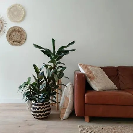 Cosy Tiny House In Bollenstreek Vlakbij Het Apartment Lisse