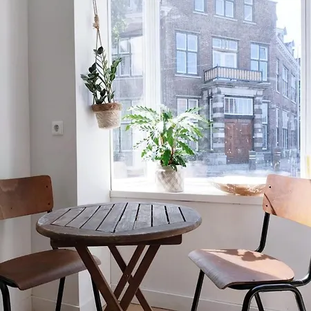 Cosy Tiny House 5 Min Walk Keukenhof Included Entrance Keukenhof * Lisse