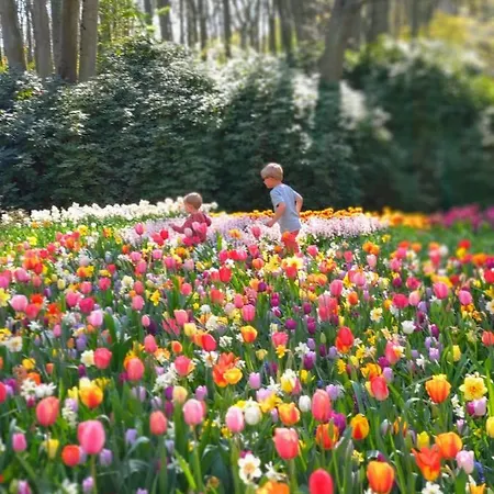 Cosy Tiny House 5 Min Walk Keukenhof Included Entrance Keukenhof Lisse